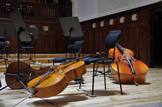 I fell in love with classical music. 